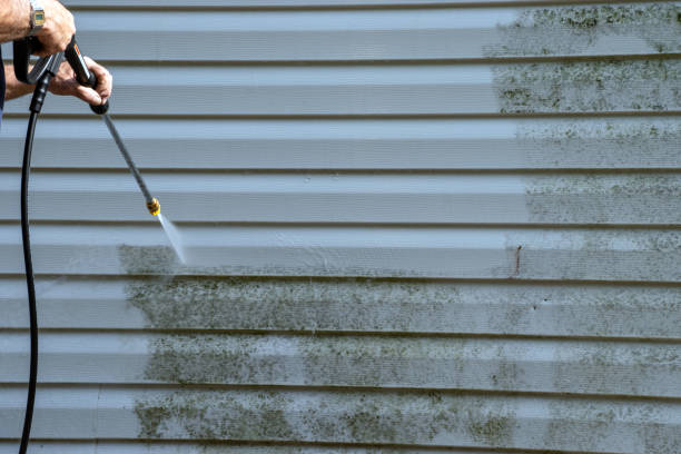 Best Residential Vinyl Siding Installation  in Iselin, NJ