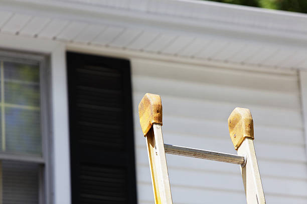 Best Siding Painting and Refinishing  in Iselin, NJ